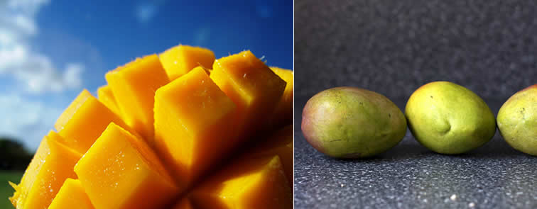 mango lekker vruchtvlees